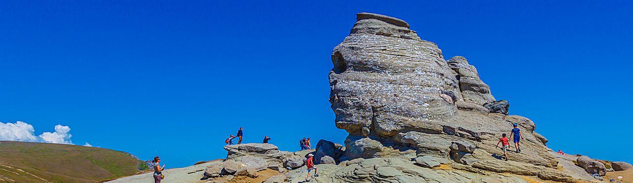 Casa Bucegi بوستين المظهر الخارجي الصورة